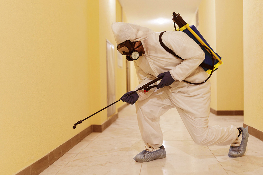 pest-control